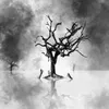 About Drowning Tree Song