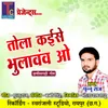 About Tola Kaise Bhulavav O Chhattisgarhi Geet Song