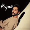 About Pegao Song