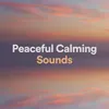 Feeling Sounds