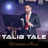 About Gözümün Nuru Song