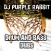 Shadow Cover DJ Purple Rabbit Remix
