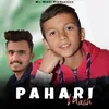 About PAHARI MASH Song