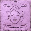 About Dreaming Of You WTS House Remix Song