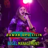 About Damar Opo Lilin Song