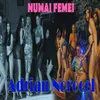 About NUMAI FEMEI Song