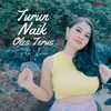 About Turun Naik Oles Trus Song