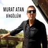 About Bingöllüm Song