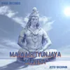 About Maha Mrityunjaya mantra Song