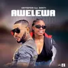 About Awelewa Song