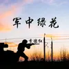 About 军中绿花 Song