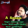 About A Sanam Male Verison Song