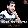 About Ay Ömrüm Song