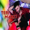 Teri Marzi