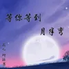 About 等你等到月半弯 Song