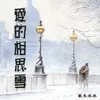 About 爱的相思雪 Song