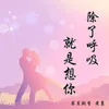 About 除了呼吸就是想你 Song