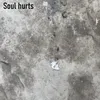 About Soul Hurts Song