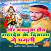 About Tor Majanua Hau Mahadev Ke Diwana Ge Pagali Song