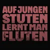 About Auf jungen Stuten lernt man fluten Song