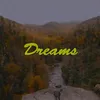 About Dreams Song