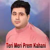 About Teri Meri Prem Kahani Song