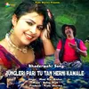 About Jungleri Pari Tu Tan Herni Kamale Song