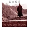 About The Purple Light of Dawn Song