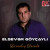 About Qaranlıq Gecədə Song