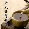 About 老天自有安排 Song
