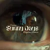 About Sunny Days Song