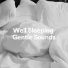 Well Sleeping Gentle Sounds, Pt. 28