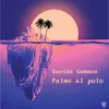 About Palme al polo Song