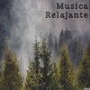 Musica Relajante