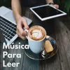 About Musica Para Leel Song