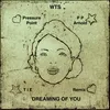 Dreaming Of You TiE Remix