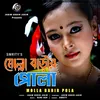 About Molla Barir Pola Song