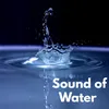 About Sound of Water Song