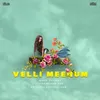 About Velli Meenum Song