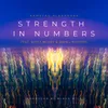 About Strength In Numbers S.I.N Song