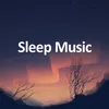 About Sleep Music Song