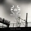 About Toxic Rain Song