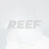 About REEF Song