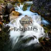 About Aguas Relajantes Song