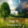 Viaje De Perspicacia (1)