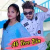 About Ab Tere Bin Song