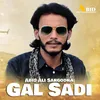About Gal Sadi Song