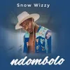 About Ndombolo Song