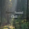 Forest Sound Chill