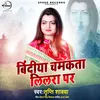 About Bindiya Chamkata Lilara Par Song